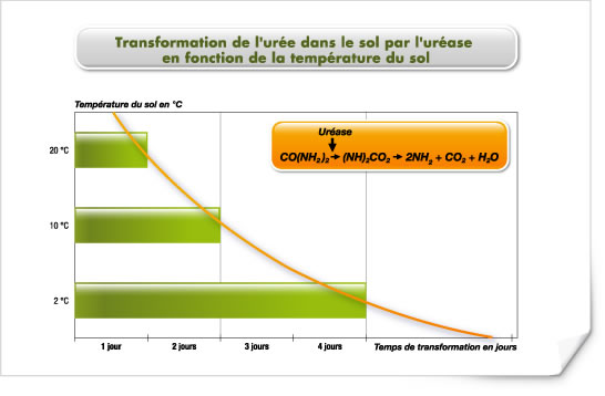 Transformation de l'urée dans le sol par l'uréase en fonction de la température du sol Transformation de l'urée dans le sol par l'uréase en fonction de la température du sol