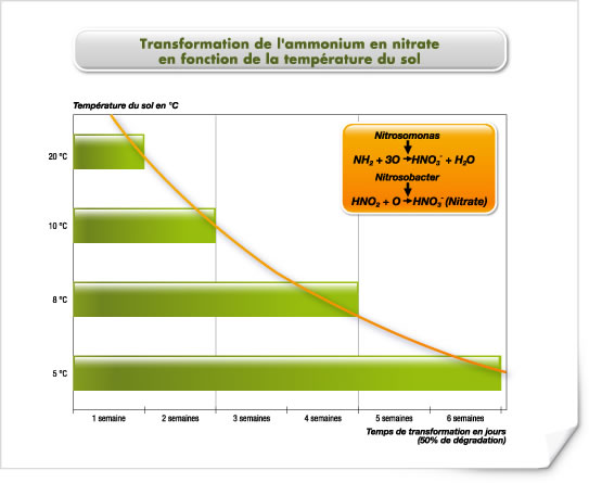 Transformation de l'ammonium en nitrates en fonction de la température du sol