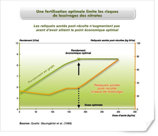 Une fertilisation optimale limite les risques de pertes par lessivage Une fertilisation optimale limite les risques de pertes par lessivage