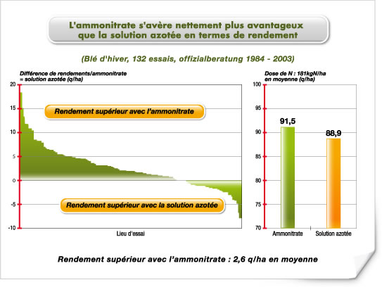 Dans la pratique, l'ammonitrate s'avère nettement plus avantageux que la solution azotée en terme de rendement Dans la pratique, l'ammonitrate s'avère nettement plus avantageux que la solution azotée en terme de rendement