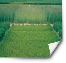 visuel09