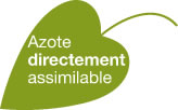 Azote