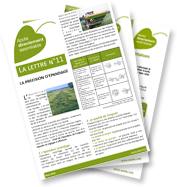 Newsletter Azote